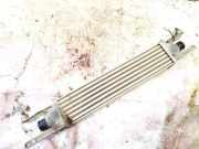 Ladeluftkühler Fiat Punto, 2005.10 - 2012.03 Gebraucht,