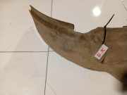 Radhausschale - Hinten Linke Toyota Corolla, 2001.11 - 2004.02 Gebraucht ,