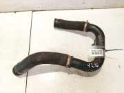 Kühlerschlauch Fiat Punto, 2005.10 - 2012.03 55703081,