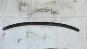 Windlauf Wischerabdeckung Mercury Cougar, VIII 1998.01 - 2002.12 rr98bwb18c49,
