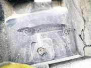 Stoßstangenhalter - Hinten Ford Mondeo, 2007.03 - 2013.06 bs71a17b861a, bs71-a17b861-a