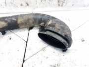 Schlauch für Luftversorgung BMW X5, E53 2000.01 - 2003 10866710,