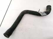 Kühlerschlauch Ford C-MAX, 2003.01 - 2007.06 3M5H8260EJ,