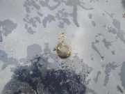 Waschwasserdüse Scheibenreinigung Renault Scenic, I 1999.09 - 2003.06 facelift Gebraucht,