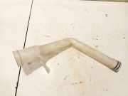 Verschluss Waschwasserbehälter Chevrolet Captiva, 2006.01 - 2011.06 96673372,