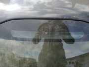 Zusatzbremsleuchte Volvo V50, 2004.04 - 2007.05 Gebraucht,