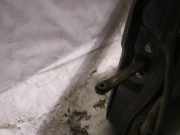 Türfangband Türbremse Türstopper - Vorne Linke Ford Maverick, I 1993.01 - 1999.12 Gebraucht,