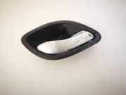 T?rinnengriff - Vorne Rechts Renault Laguna, II 2001.03 - 2006.05 8200000724,8200000724 98007101