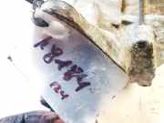 Anlasser Subaru Legacy, BE, BH, BT 1998.10 - 2003.09 Gebraucht,