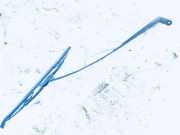 Windschutzscheibe Scheibenwischer Toyota Yaris, I (XP10) 2003.03 - 2005.09 facelift Gebraucht,