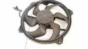 Kühlerlüfter Lüftermotor Peugeot 307, 2000.08 - 2005.06 Gebraucht,