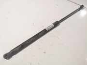 Gasdruckfeder Kofferraum Ford Fiesta, VI 2008.12 - 2012.10 8A61A406A10AC,8A61-A406A10-AC 8A61A406A10-AC 8A61A406A10AC