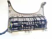 Knie-Airbags Citroen C5, II 2008.02 - 2011.01 96824626ZW,96824626ZW CD102362ZW