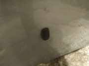 Waschwasserdüse Scheibenreinigung Ford Focus, 2004.11 - 2008.06 Gebraucht,