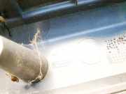 Zierleiste Seat Exeo 2008 - 2013 8e9864483c,