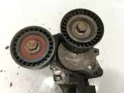 Spannrolle Nissan Qashqai, I 2006.01 - 2010.06 t38311,