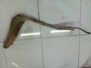 Tankeinfüllstutzen Tankrohr Kraftstoffrohr Opel Astra, H 2004.03 - 2009.12 5510200008, 5510200008