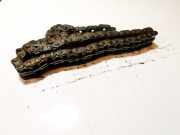 Zahnrad Nockenwelle Steuerkette Opel Vectra, B 2000.09 - 2002.04 facelift Gebraucht,