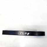 Gleitschiene Steuerkette Chrysler 300C, I 2005.01 - 2010.06 a6420500416, a6420500416