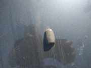 Waschwasserdüse Scheibenreinigung Ford Mondeo, 2007.03 - 2013.06 Gebraucht,