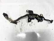 Zündkabel Citroen C3 Picasso, I 2009.02 - 2012.06 9653805580,