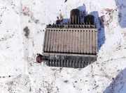 Ladeluftkühler Volkswagen Polo, IV 2005.04 - 2009.11 facelift 8730670, BNM