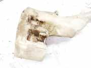 Scheibenwaschbehälter Vorne Wischwasserbehälter Renault Espace, III 1996.11 - 2002.10 6025402996,