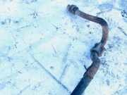 Stabilisator Stabi Hinten Hinterachse Ford Galaxy, Mk I 2000.04 - 2006.04 facelift Gebraucht,