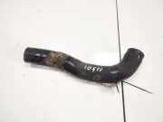 Schlauch für Luftversorgung Honda Accord, 2003.02 - 2005.09 4502,