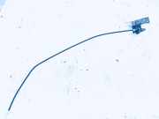 Seilzug Feststellbremse Porsche Cayenne, 2002.01 - 2010.06 7L0721556A,7l0721812a