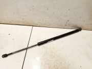 Gasdruckfeder Kofferraum Honda CR-V, III 2006.06 - 2010.06 74870swaa01,