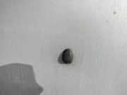 Waschwasserdüse Scheibenreinigung Nissan Almera, N15 1995.07 - 1998.06 Gebraucht,