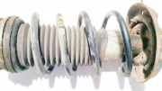 Fahrwerksfeder vorne Fiat Punto, 2005.10 - 2012.03 Gebraucht,
