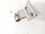 T?rscharnier Hinten Peugeot 406, 1995.11 - 1999.03 Gebraucht,