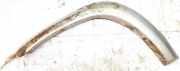 Beplankung Leiste Kotfl?gel - Vorne Linke Toyota RAV-4, II 2000.09 - 2005.11 7560242070,75602-42070