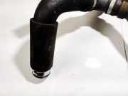 K?hlerschlauch Mercedes-Benz CLC, I 2008.01 - 2012.12 3013350,