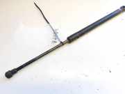 Gasdruckfeder Kofferraum Volkswagen Touran, 2003.01 - 2006.10 1t0823359a, BRU