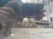 Waschwasserdüse Scheibenreinigung Mazda 323F, 1998.09 - 2004.05 Gebraucht,