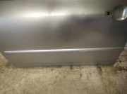 Zierleiste Tür Zier-Schutzleiste - Vorne Linke Toyota Corolla, 2001.11 - 2004.02 Gebraucht,