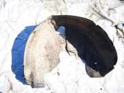 Radhausschale - Hinten Linke Skoda Yeti 2009 - 2013 Gebraucht,