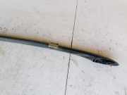 Dachreling Linke Daewoo Tacuma, I 2000.01 - 2011.12 Gebraucht,