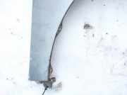 Kotflügel - Vorne Rechts Honda Accord, 2003.02 - 2005.09 Melyna,