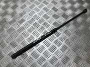 Gasfeder für Motorhaube Fiat Stilo, 2001.10 - 2007.01 46784590, um