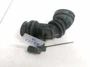 Schlauch f?r Luftversorgung Chrysler Voyager, IV 2000.02 - 2008.12 04861383AA,95658A