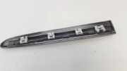 Zier-Schutzleiste Kotflügel - Vorne Linke Mercedes-Benz w209, 2002.06 - 2009.12 A2096902562,
