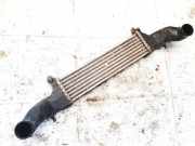 Ladeluftk?hler Mercedes-Benz W202, 1993.03 - 2000.05 a2025001100,17574