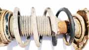 Fahrwerksfeder vorne Volkswagen Passat, B6 2005.08 - 2010.11 Gebraucht, BLS