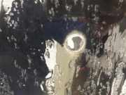 Waschwasserdüse Scheibenreinigung Opel Vectra, B 1995.09 - 2000.09 Gebraucht,