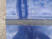 Zierleiste Tür Zier-Schutzleiste - Vorne Rechts Fiat Ulysse, II 2002.06 - 2014.12 Gebraucht,