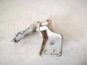 Türscharnier Hinten Peugeot Partner, II 2009.06 - 2015.06 Gebraucht,